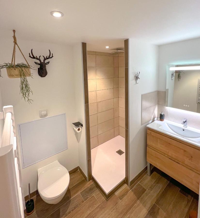 Le Repere Du Cerf T2 Residence Royal Milan St Lary Soulan سانت لاري سولون المظهر الخارجي الصورة